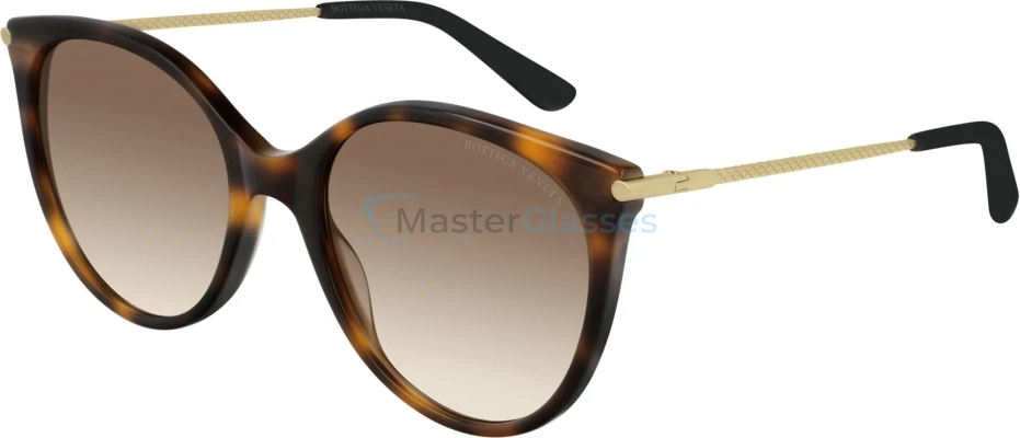 �������������� ���� Bottega Veneta BV0231S-002 54