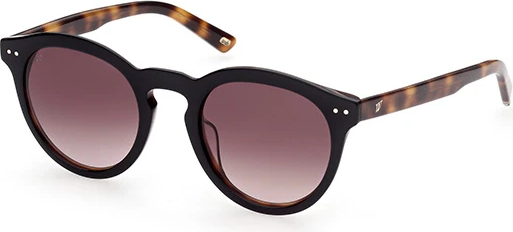 Солнцезащитные очки Web Eyewear WE 0307 05K 49