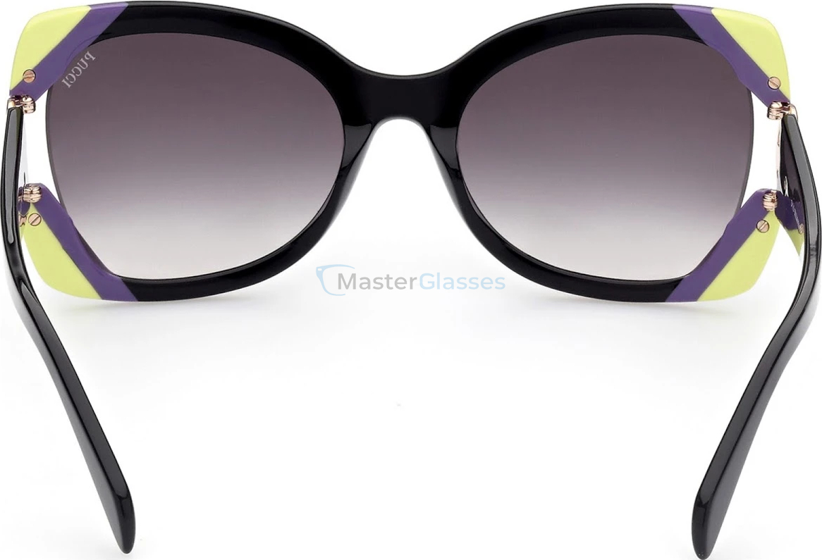 Солнцезащитные очки Emilio Pucci EP 0160 05B 57