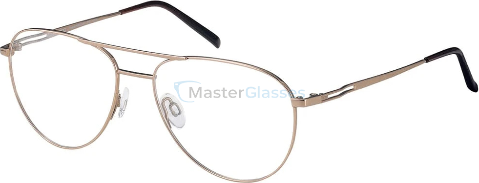 Оправа Charmant 29705-gp