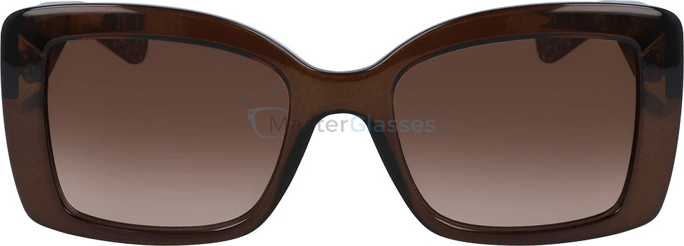 �������������� ���� Salvatore Ferragamo 965s-210