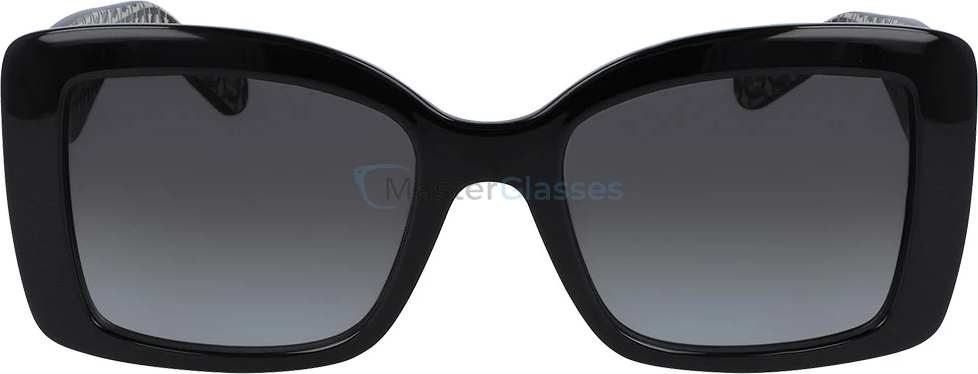 �������������� ���� Salvatore Ferragamo 965s-001