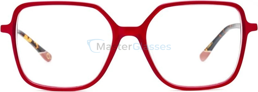 Оправа Etnia Barcelona 5 DAISY 52O HVRD