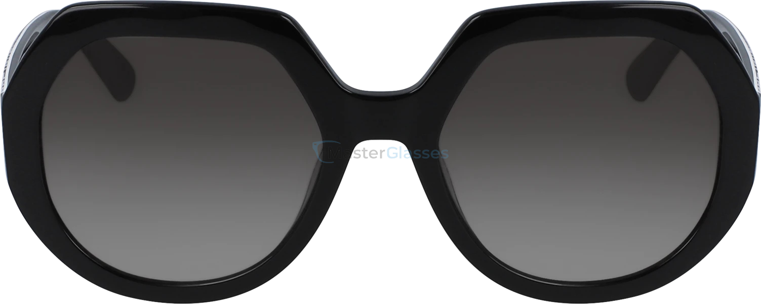 �������������� ���� Longchamp LO655S 001 55 20