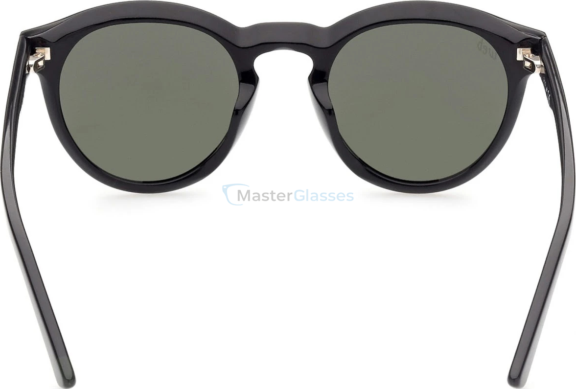 �������������� ���� Web Eyewear WE 0307 01N 49