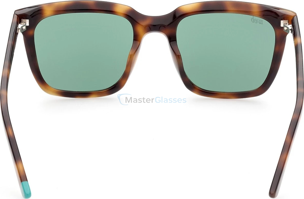 �������������� ���� Web Eyewear WE 0309 52P 53