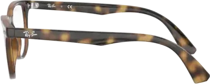 Оправа Ray-Ban RY1601 3685 Havana