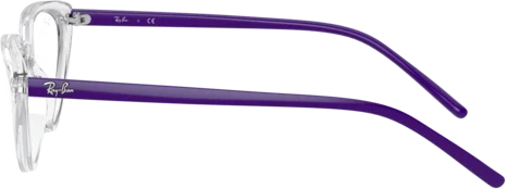 Оправа Ray-Ban RX7188 8086 Transparent