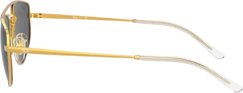 �������������� ���� Ray-Ban RB3668 905487 Black On Arista