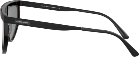 �������������� ���� Giorgio Armani AR6117 332987 Havana