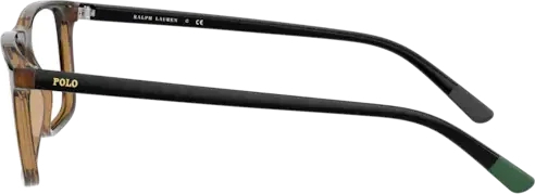 Оправа Polo PH2229 5003 Shiny Dark Havana