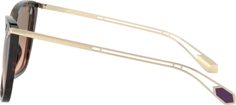 �������������� ���� Bvlgari BV8232 504/18 Havana