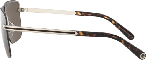 Солнцезащитные очки Bvlgari BV5054 202273 Matte Pale Gold