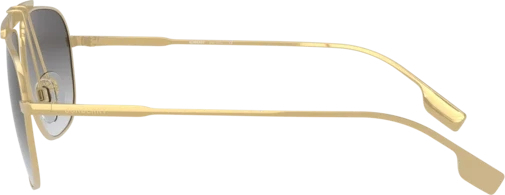 �������������� ���� Burberry Dean BE3121 101711 Gold