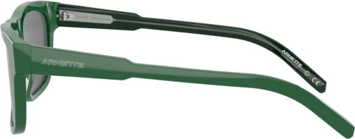 �������������� ���� Arnette Post Malone+arnette AN4279 120687 Shiny Green