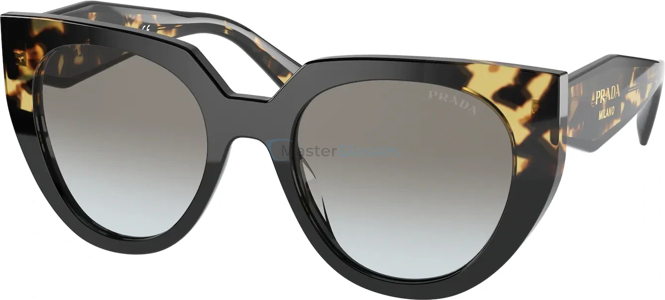   Prada PR 14WS 3890A7 Black/medium Tortoise