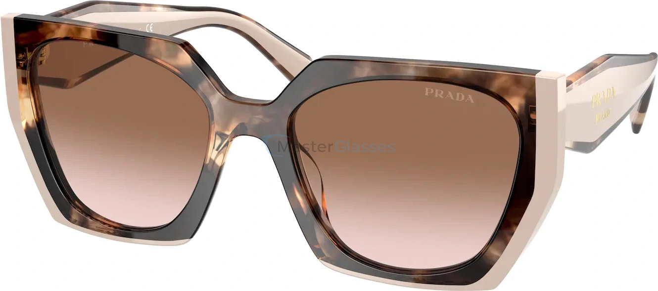   Prada PR 15WS 01R0A6 Tortoise Caramel/powder