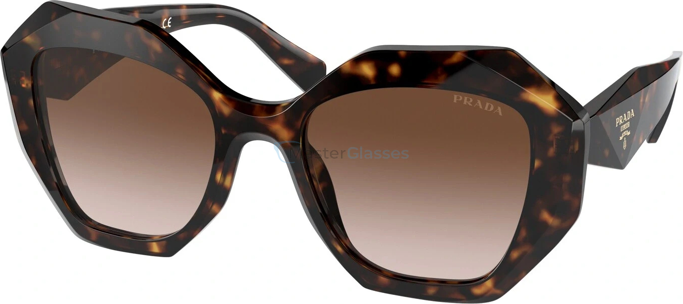   Prada PR 16WS 2AU6S1 Tortoise