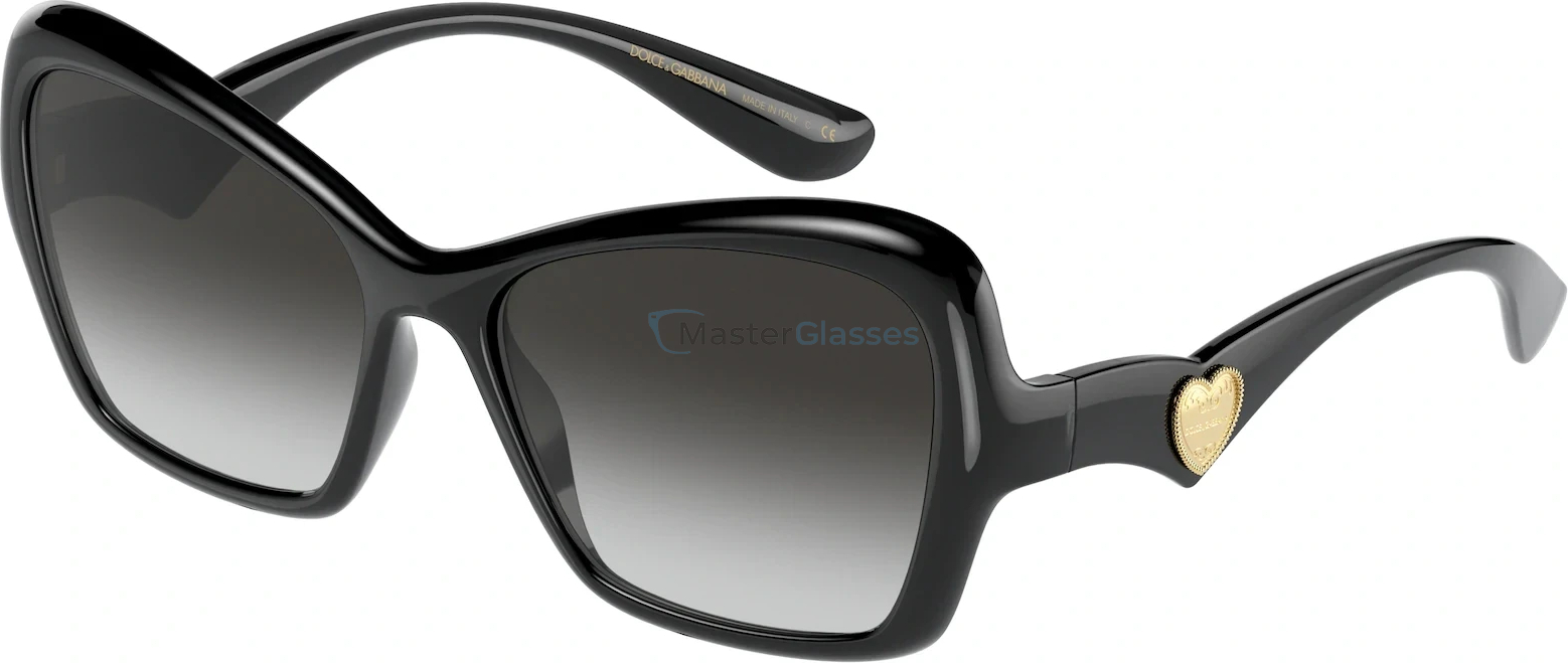   Dolce & Gabbana DG6153 501/8G Black