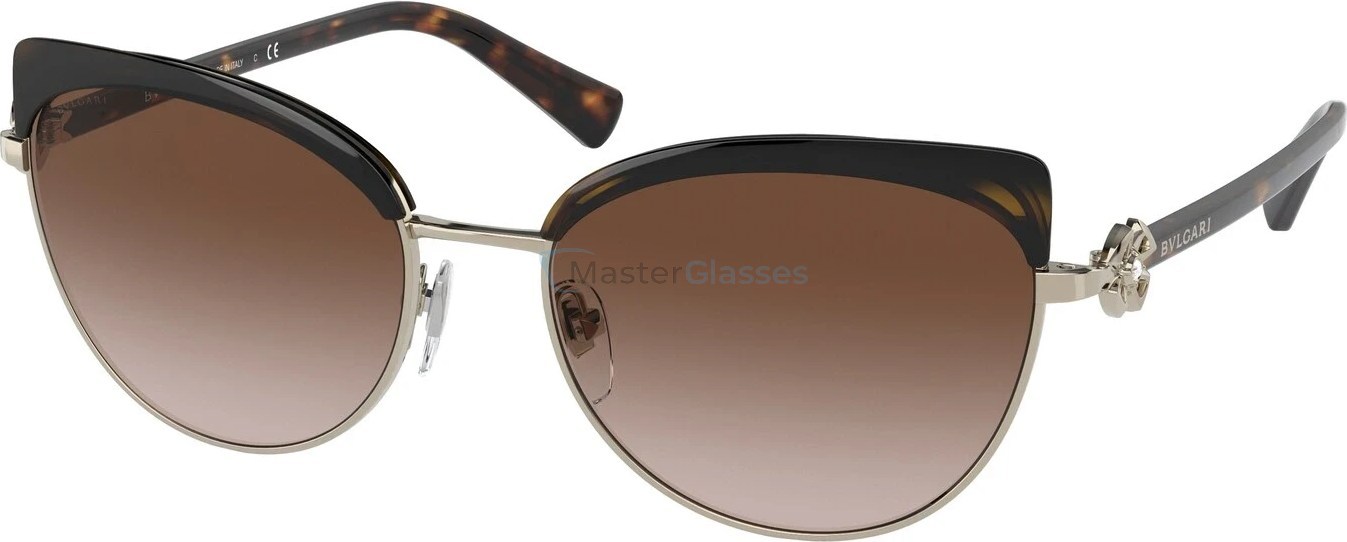   Bvlgari BV6158B 278/13 Pale Gold/havana