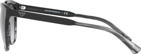   Emporio Armani EA4101 556611 Black/tr Striped Grey