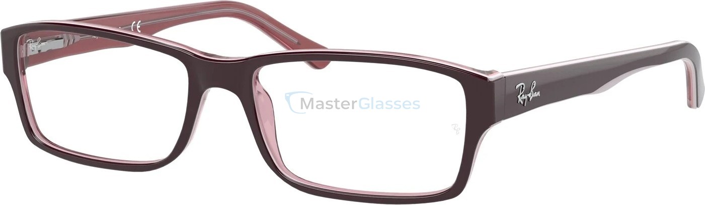  Ray-Ban RX5169 8120 Brown On Trasparent Pink