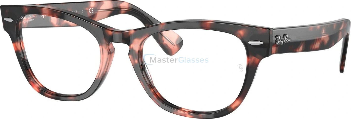  Ray-Ban Laramie RX2201V 8118 Pink Havana