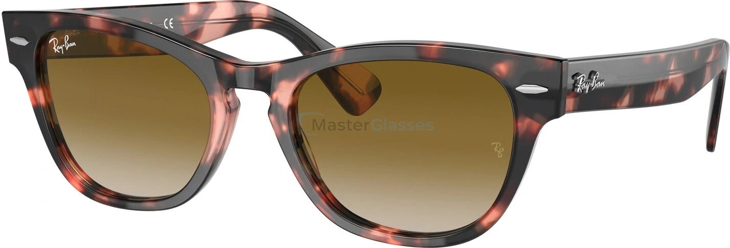   Ray-Ban Laramie RB2201 133451 Pink Havana