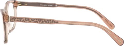  Coach HC6143 5561 Transparent Peach