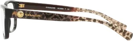 Оправа Coach HC6082 5353 Black