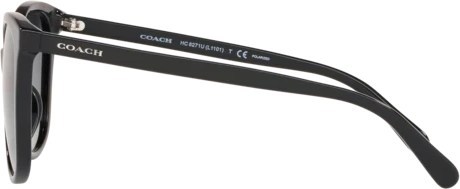 Солнцезащитные очки Coach L1101 HC8271U 5002T3 Black
