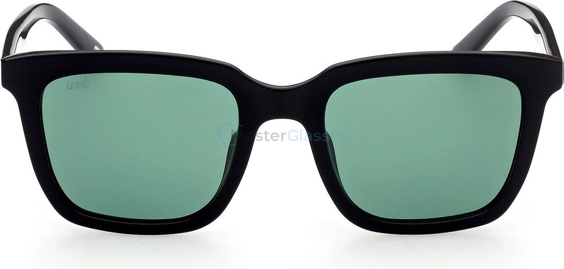Солнцезащитные очки Web Eyewear WE 0309 01P 53