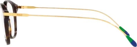  Polo PH2241 5003 Shiny Dark Havana