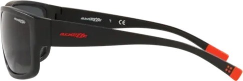   Arnette Bushwick AN4256 275887 Matte Black