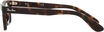 Оправа Ray-Ban Burbank Jr RY9083V 3887 Havana