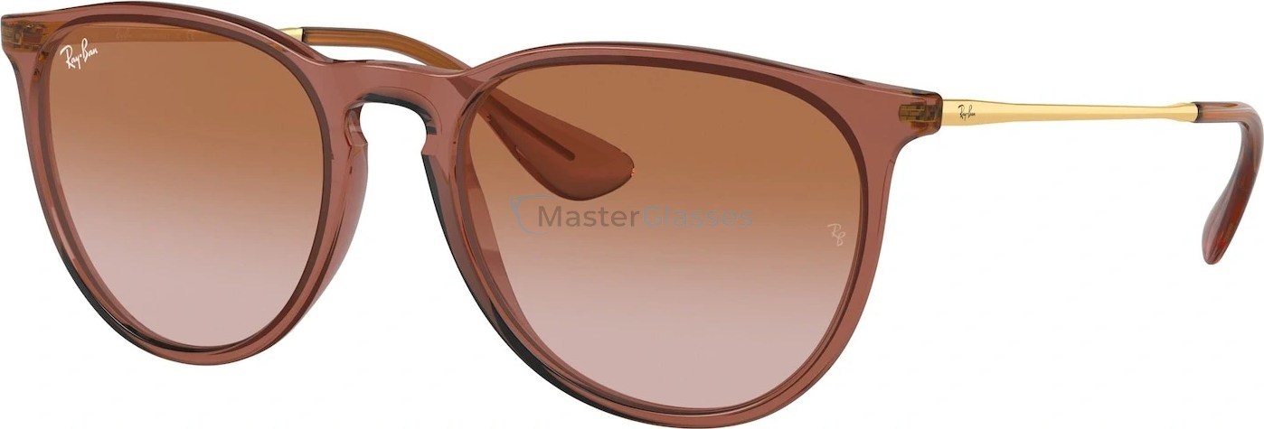   Ray-Ban Erika RB4171 659013 Transparent Light Brown