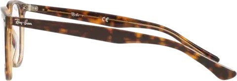  Ray-Ban RX7159 8109 Havana On Transparent Brown