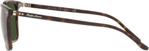   Ralph Lauren RL8199 500371 Shiny Dark Havana