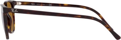   Ray-Ban Elliot RB2197 902/33 Havana