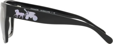   Coach L1049 HC8249 500287 Black Solid