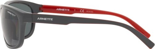   Arnette El Carmen AN4263 275381 Gray