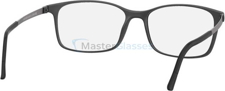 ������ Silhouette 2905 9060 55/16 Titan Accent