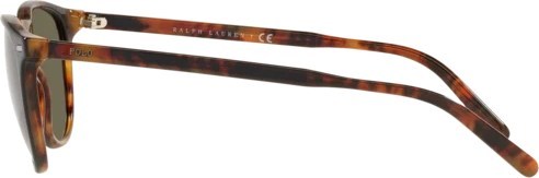   Polo PH4181 5260/3 Shiny Black + Havana