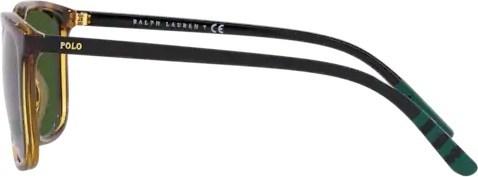   Polo PH4185U 500371 Shiny Havana