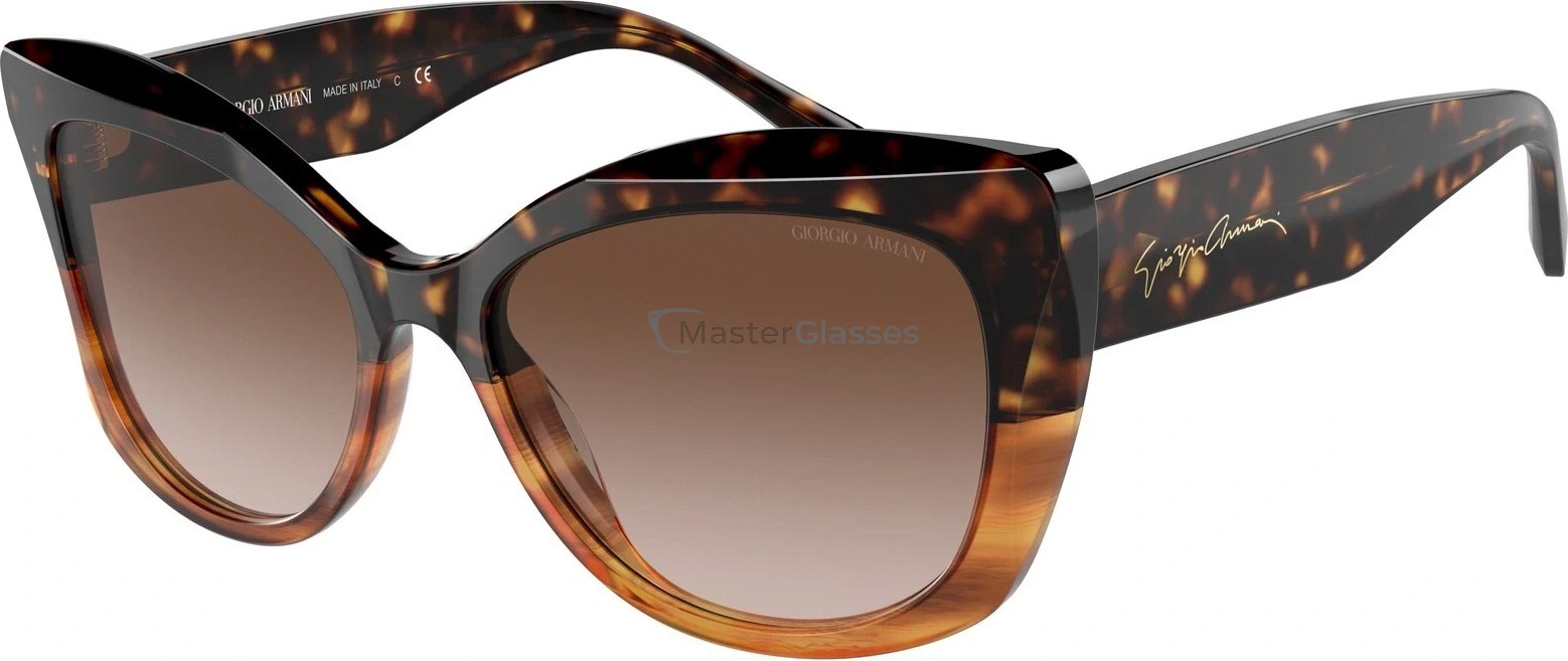   Giorgio Armani AR8161 592913 Havana/striped Brown