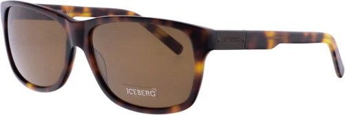   ICEBERG IC 666S 03