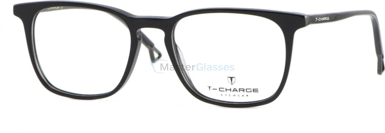  T-Charge T6199A01