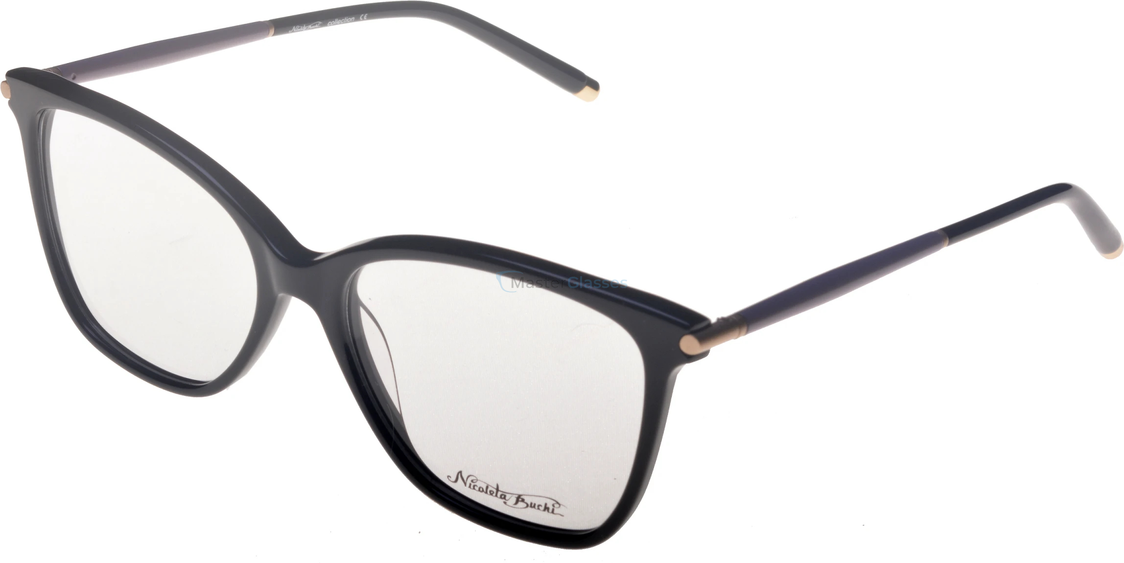  Nicoleta Buchi 463 01