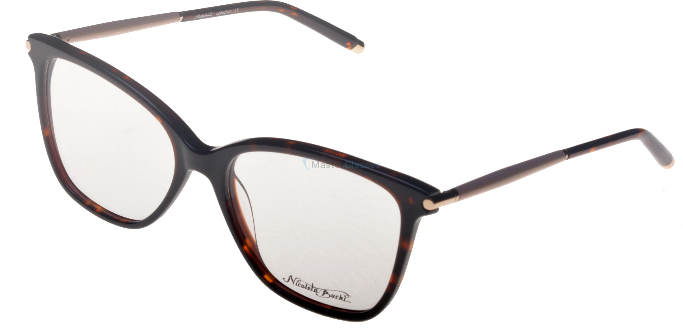  Nicoleta Buchi 463 03