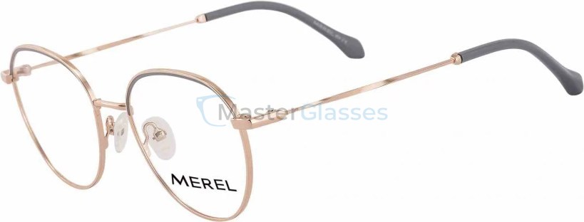  Merel MR6520 C01